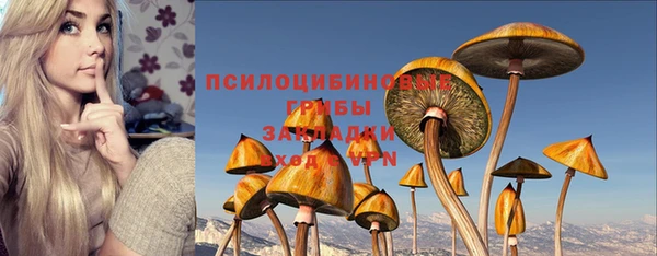 дурь Михайловка