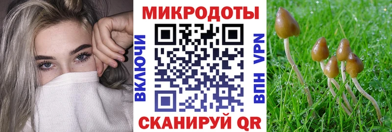 Галлюциногенные грибы Magic Shrooms  Купить  Переславль-Залесский 